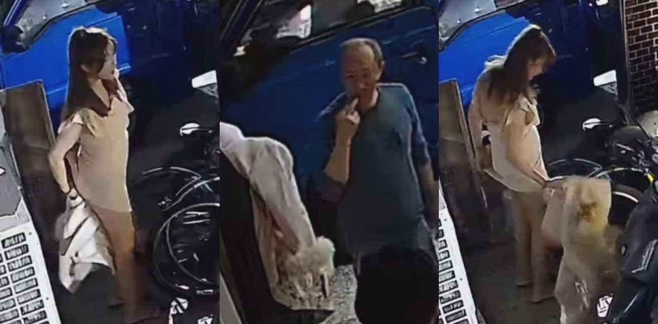 台湾小仙女拉完屎用外套擦屁股 不知情大爷路过后 用手指沾完吃了好几口 说是巧克力甜甜的！太TM猎奇了！ - 51吃瓜网-51吃瓜网