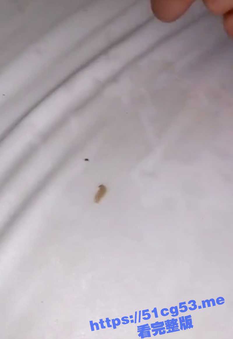 重口预警！把虫子塞入尿道里面 然后抠逼到高潮 用淫水将其顶出来！ - 51吃瓜网-51吃瓜网