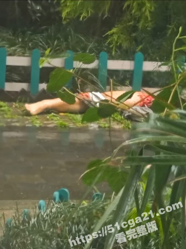 成都大慈寺路一男子51楼坠亡 碰撞到平台导致肢体离断 网传竟是杀人抛尸！-51吃瓜网