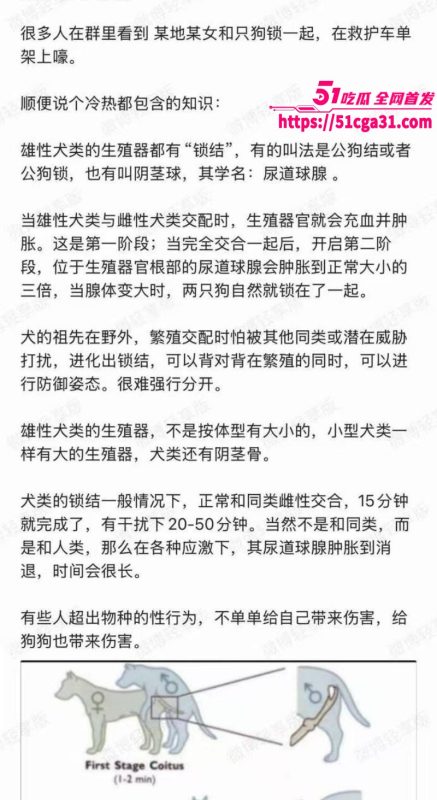 奇女子饥渴难耐 为泄欲竟强奸爱犬 不料事后难以拔出被120拉走 现场完整版视频曝光！-51吃瓜网