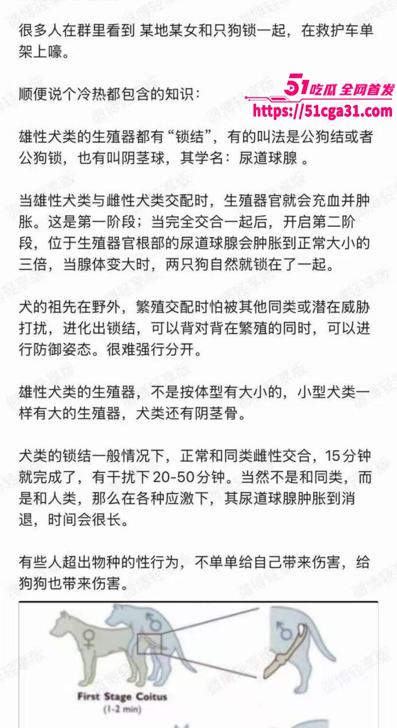 奇女子饥渴难耐 为泄欲竟强奸爱犬 不料事后难以拔出被120拉走 现场完整版视频曝光！ - 51吃瓜网-51吃瓜网