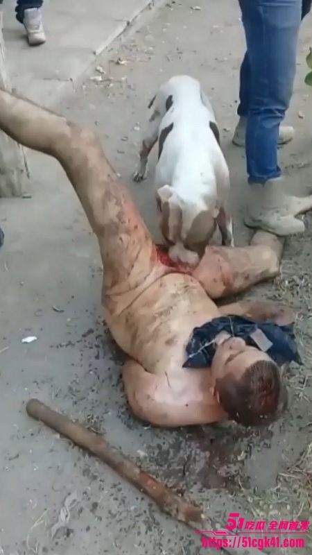 墨西哥猎奇事件！30岁裸男性侵遭黑帮私刑 斗牛犬生吞生殖器 血腥惨叫震天 胆小瓜友慎入！-51吃瓜网