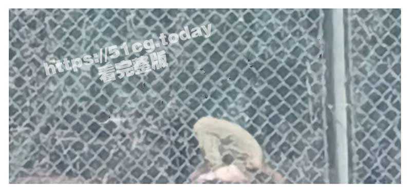 大学生情侣从天亮干到天黑！山东工程职业技术大学情侣操场上啪啪视频曝光全网疯传！ - 51吃瓜网-51吃瓜网