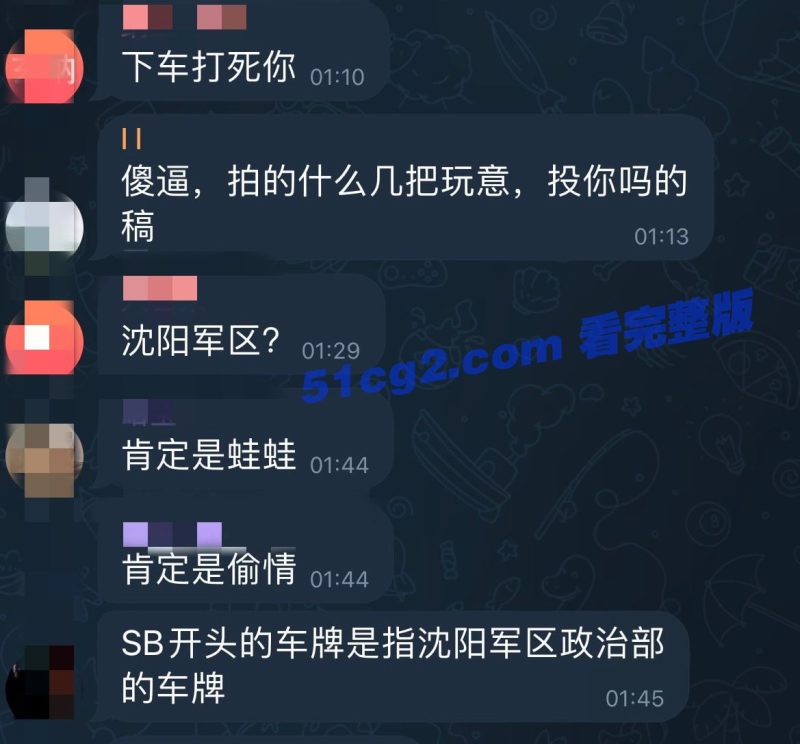 疑似沈阳军区车震偷情被抓拍视频-51吃瓜网