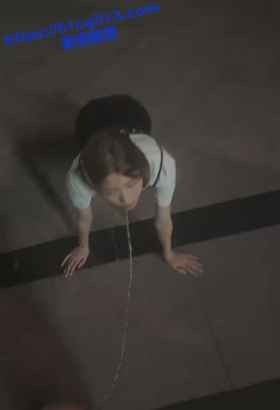 广州调教大神 深夜当街将女大学生当做母狗牵着狗链在户外溜弯！调教的这么乖 属实有点羡慕了！-51吃瓜网