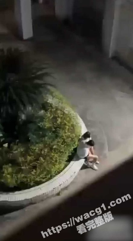 广州电子商务技工学校的情侣深夜在学校内激情缠绵 男生边激吻边伸手到裙底疯狂扣逼 动作娴熟而大胆-51吃瓜网